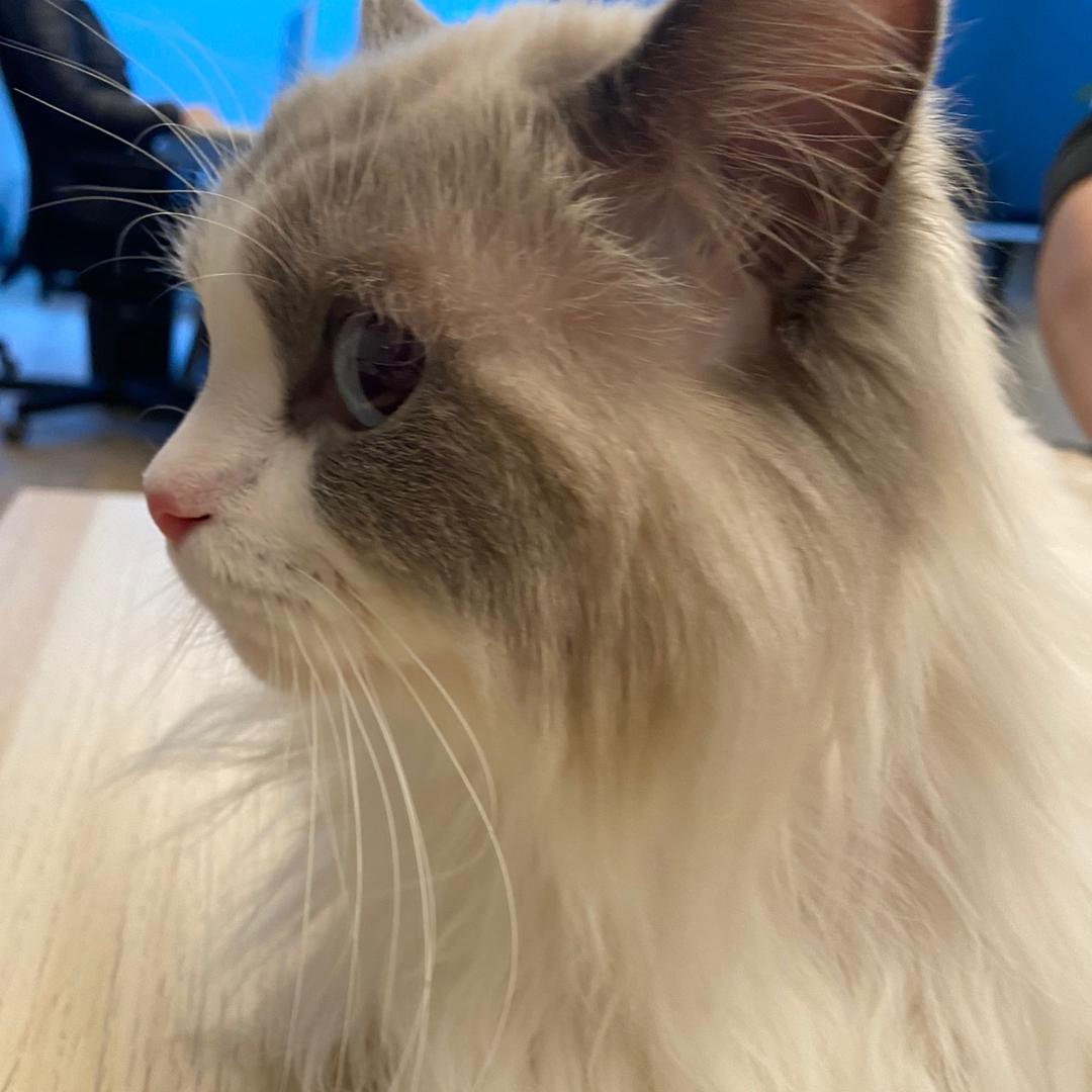 阿尔山奥伦布坎景区笑笑