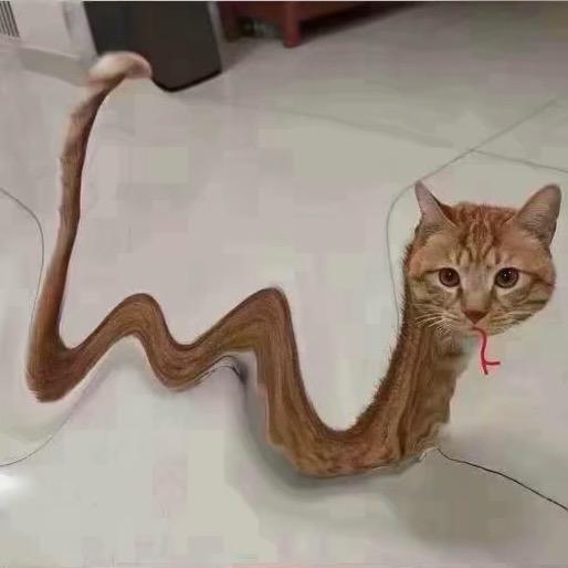 喵喵(˵¯͒〰¯͒˵)