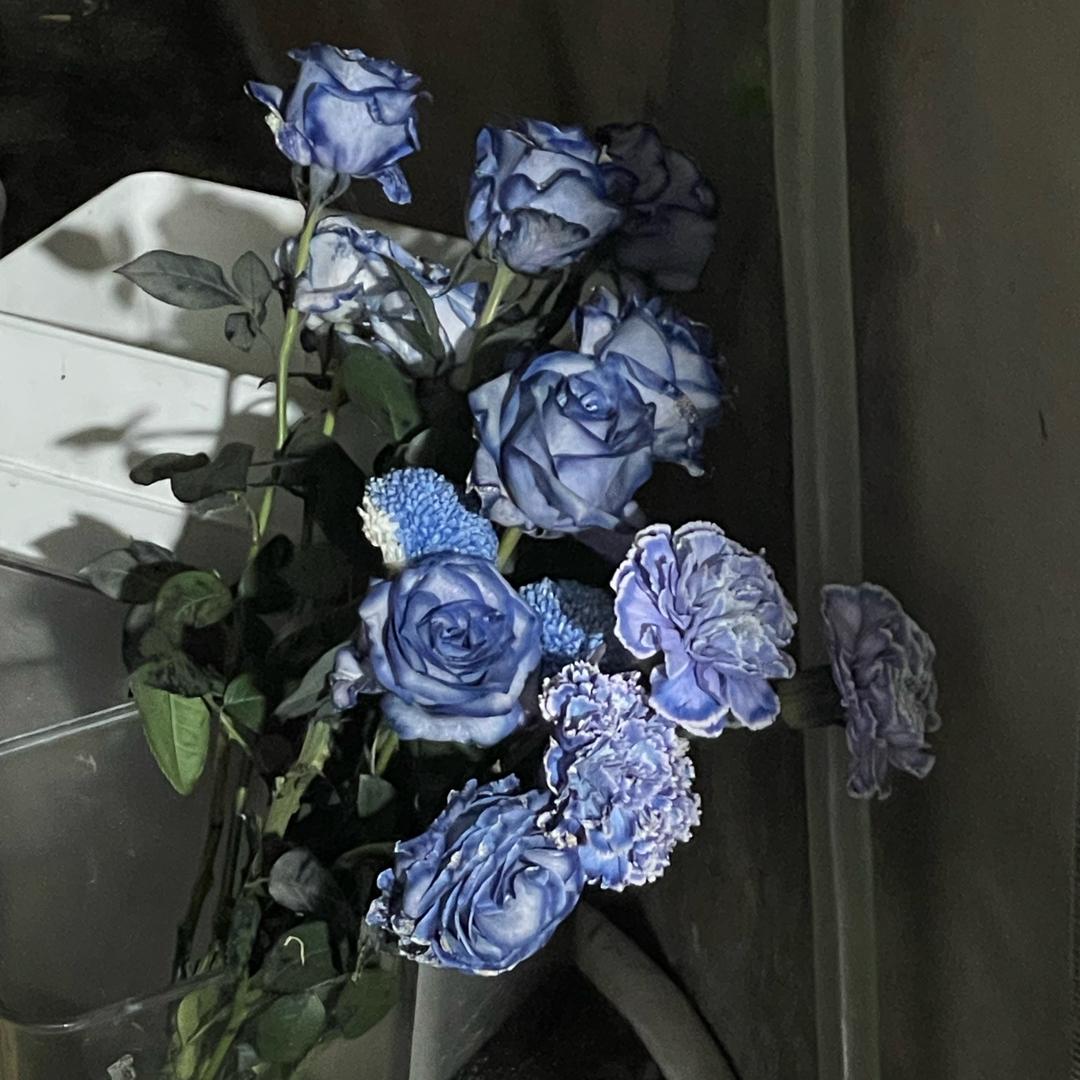 初初初七。。。