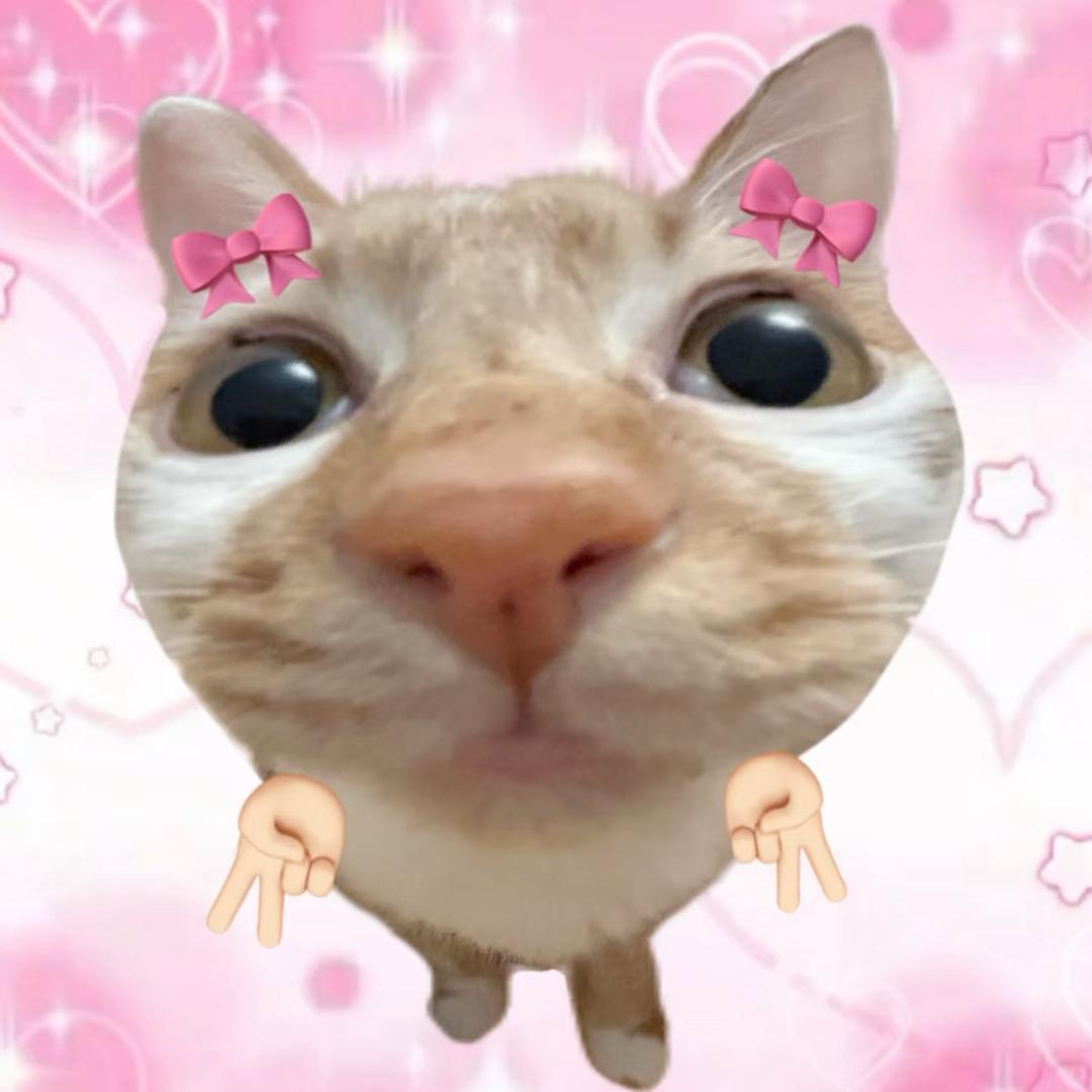 幸福的小鱼干₌᳐･֊･₌᳐🐾