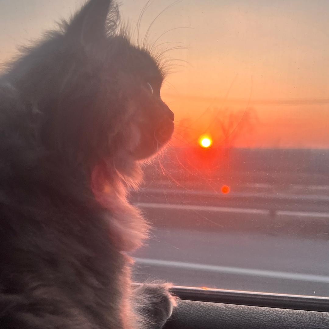 想讲个宇宙给你听