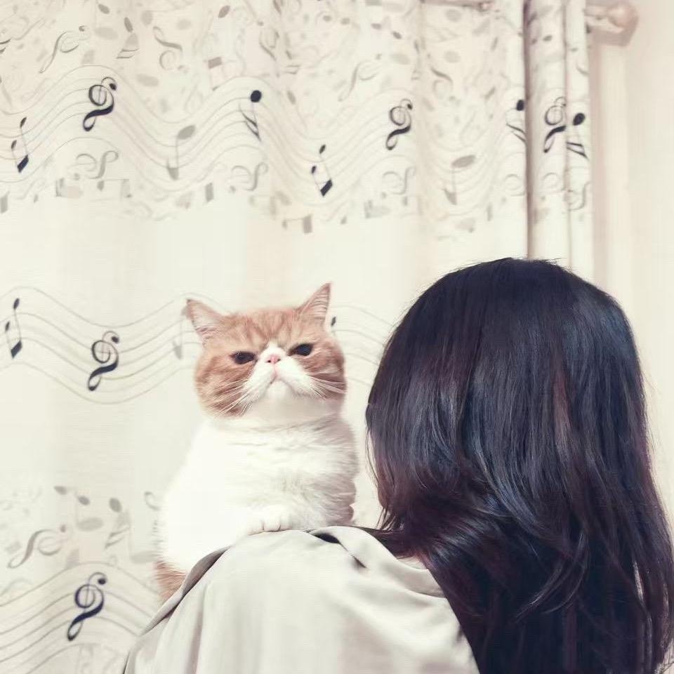 再见不是再见