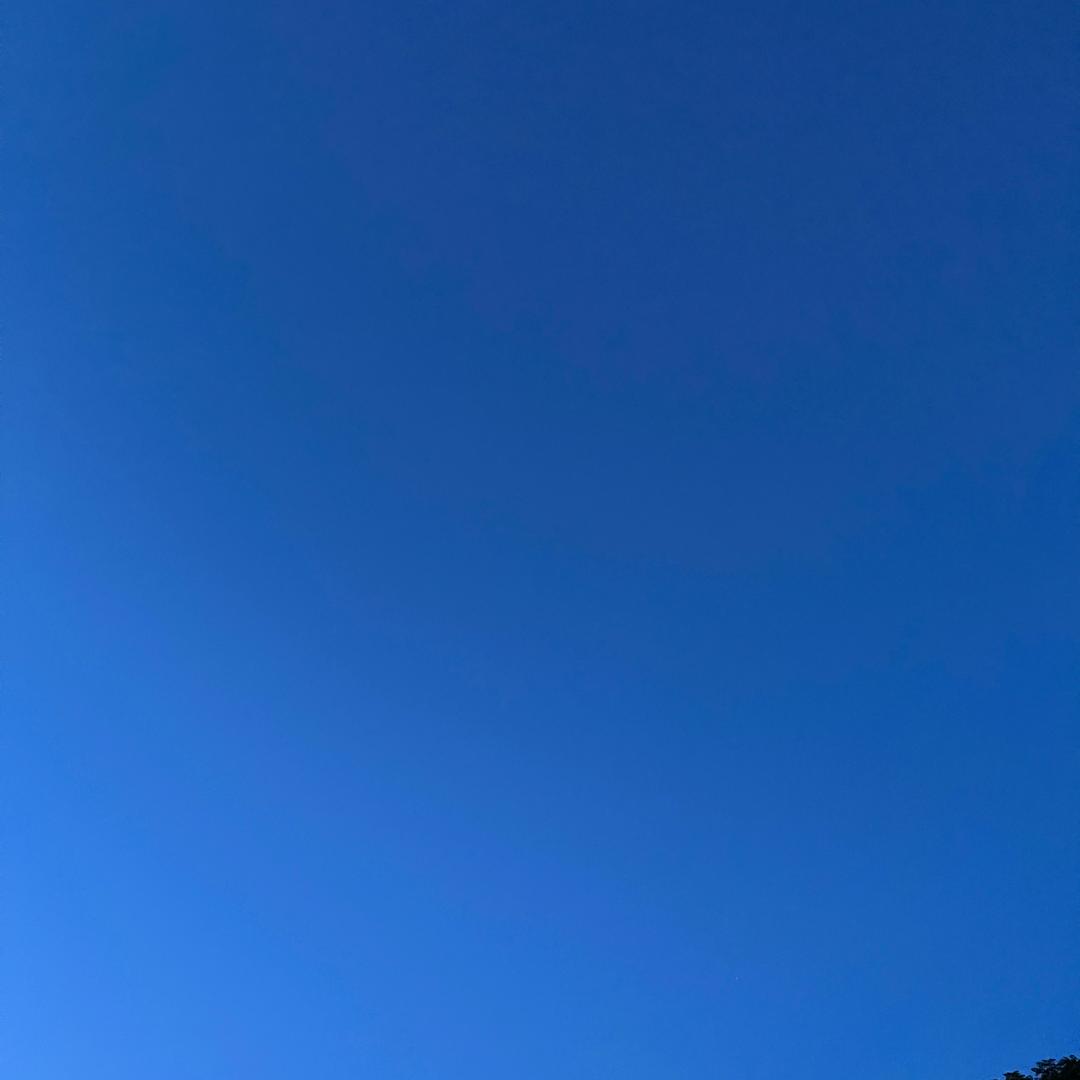 骑老奶奶过马路🌞