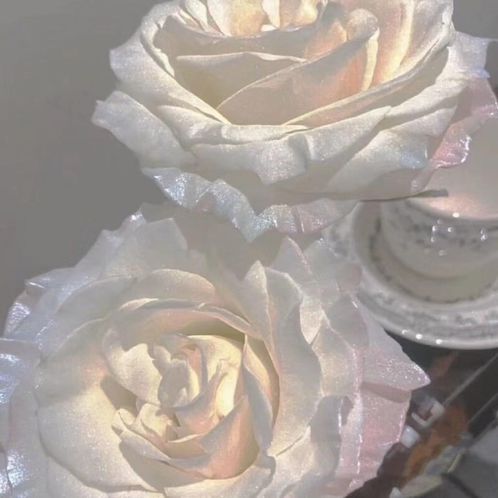 花在美终有残时