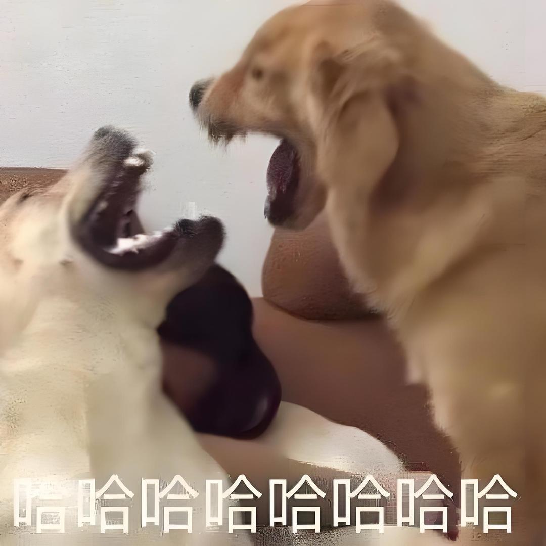 小可爱不乖乖🔆