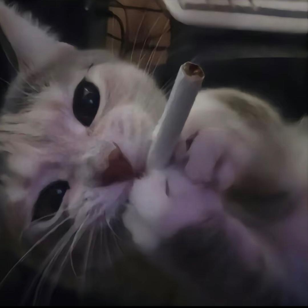 唯舞汇街舞-朴玺月