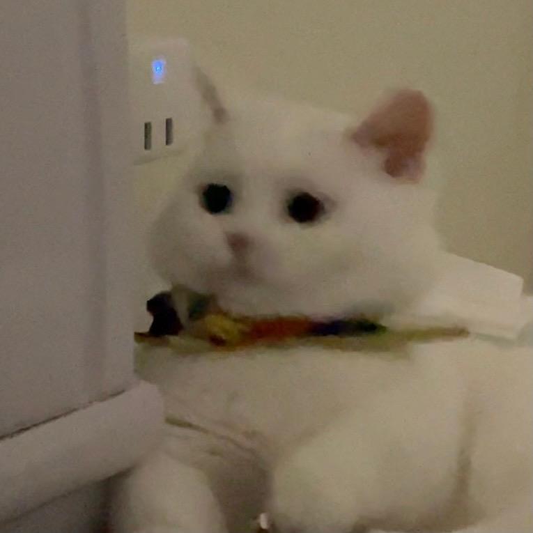 钱钱进兜里来💓