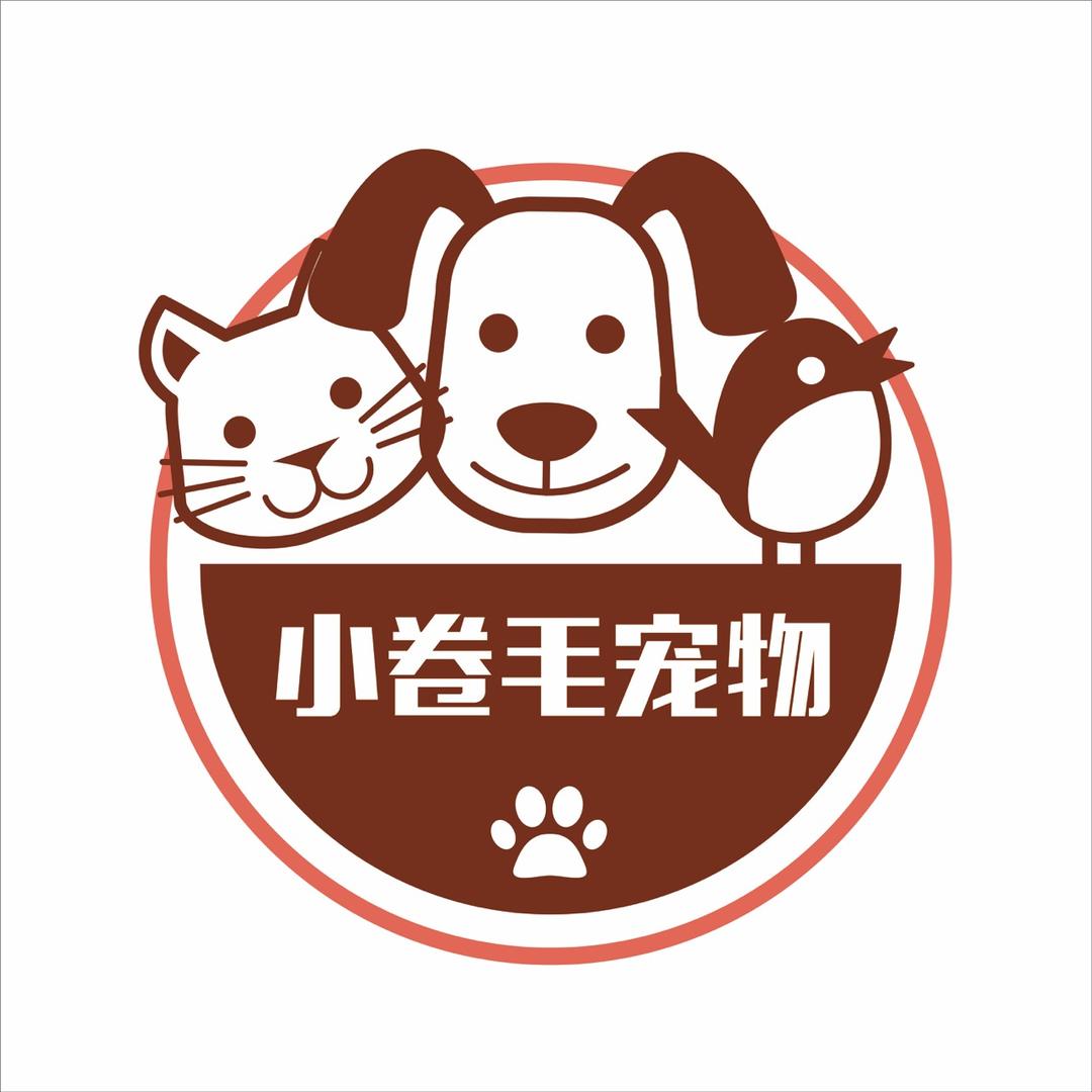 小卷毛宠物