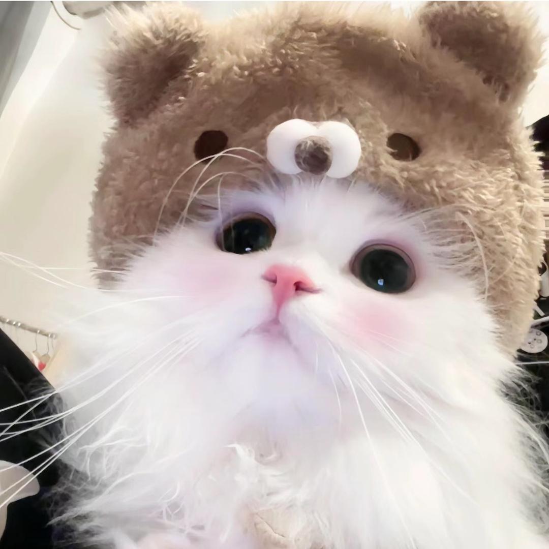 Cuteyy