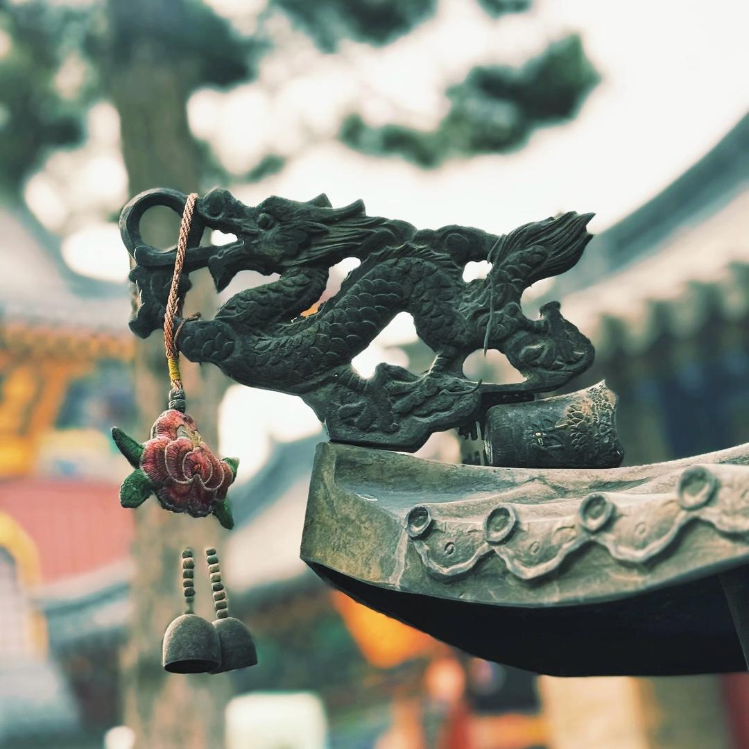 学业有成唐唐