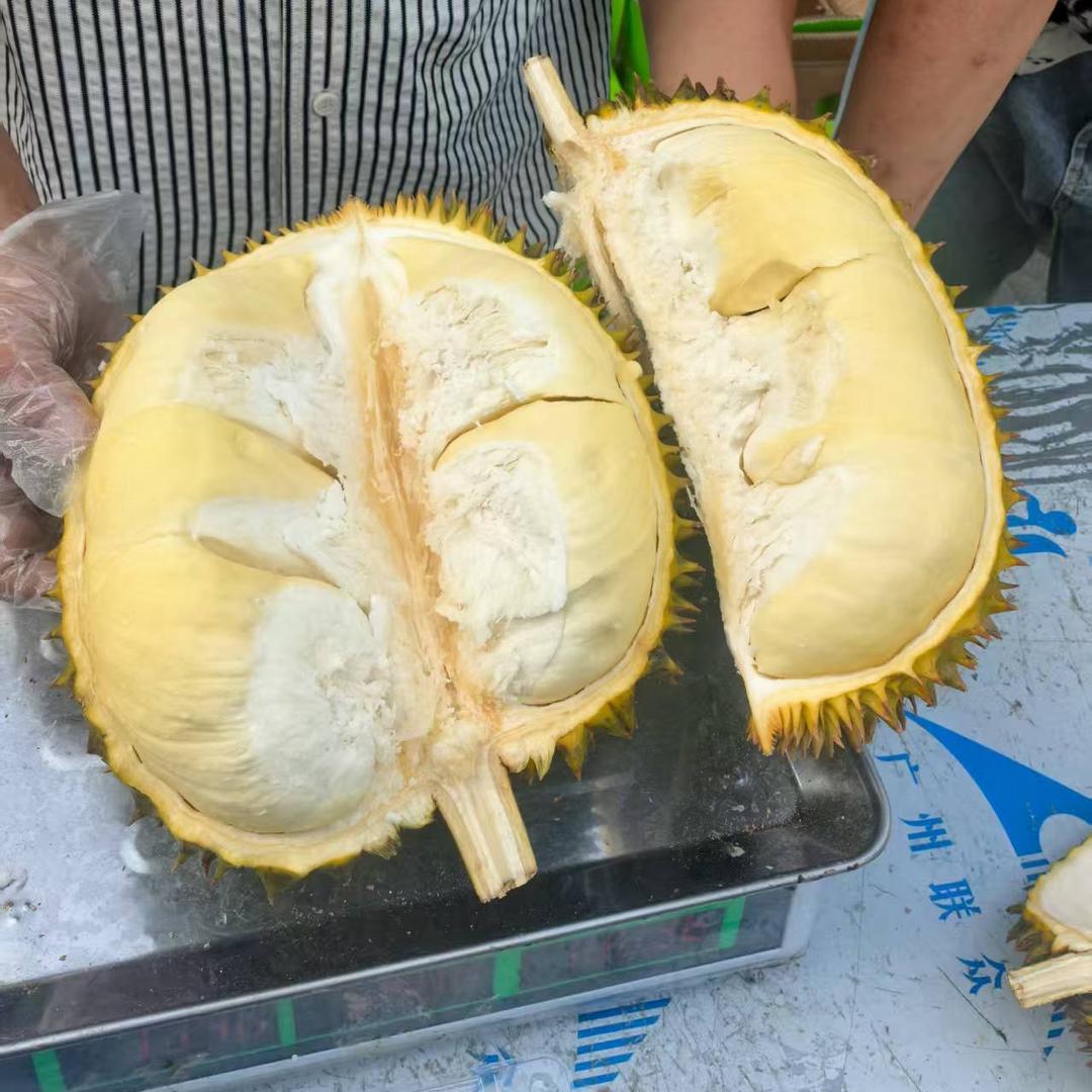 榴莲忘返（榴莲季）