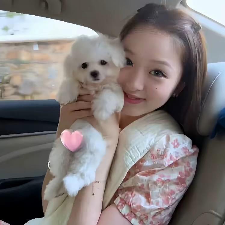 ㅤㅤㅤㅤㅤ故拜