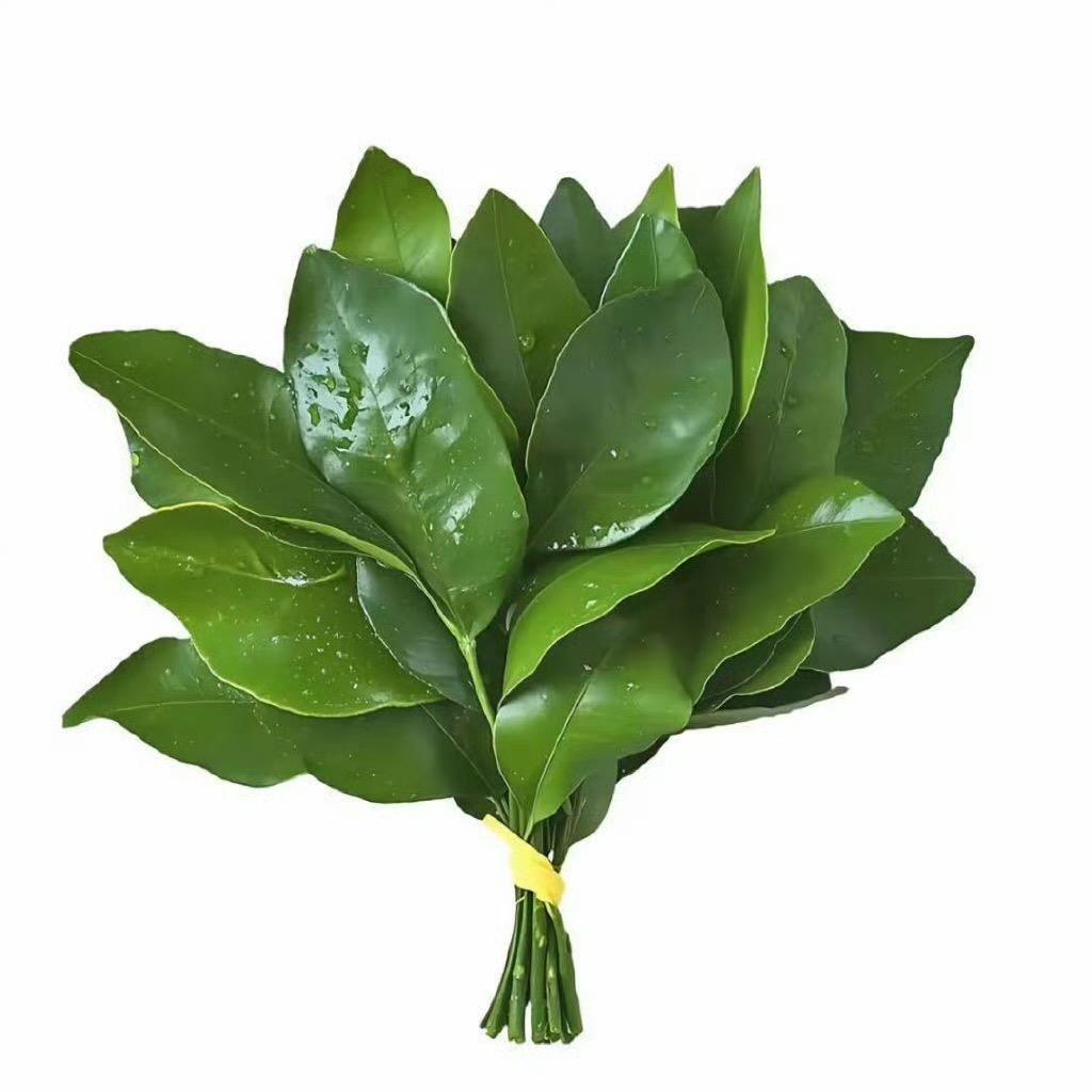 小彤