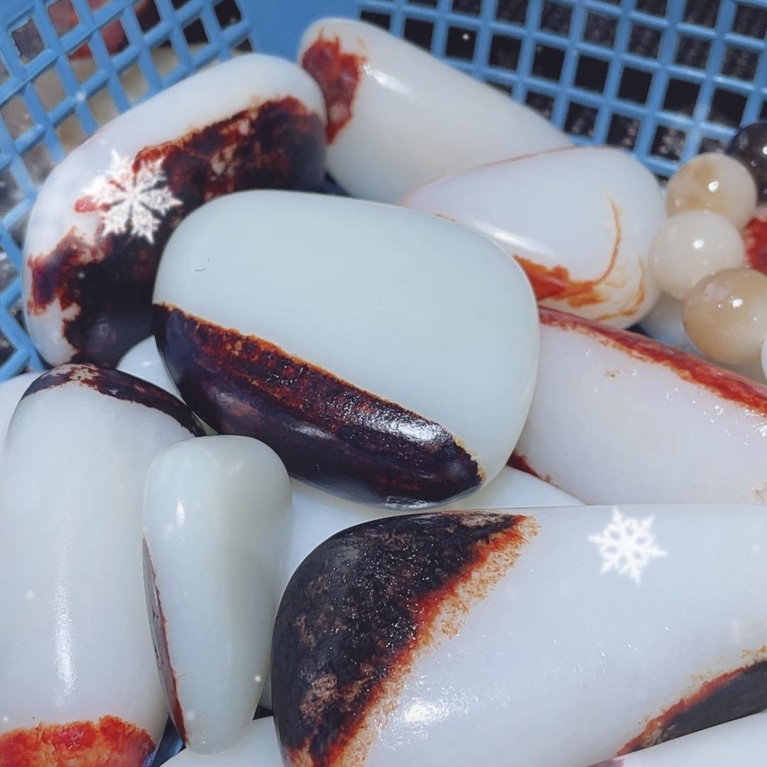 新疆籽玉霸王龙