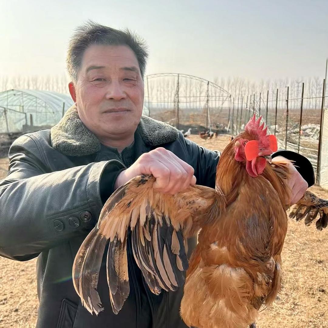 丁老爸生鲜