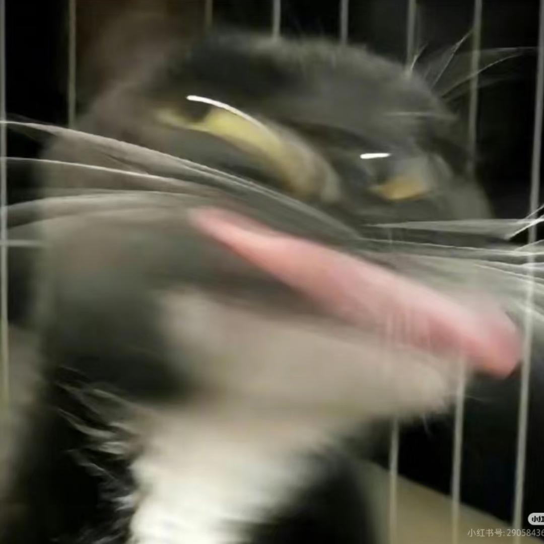 光削面忘记削你了