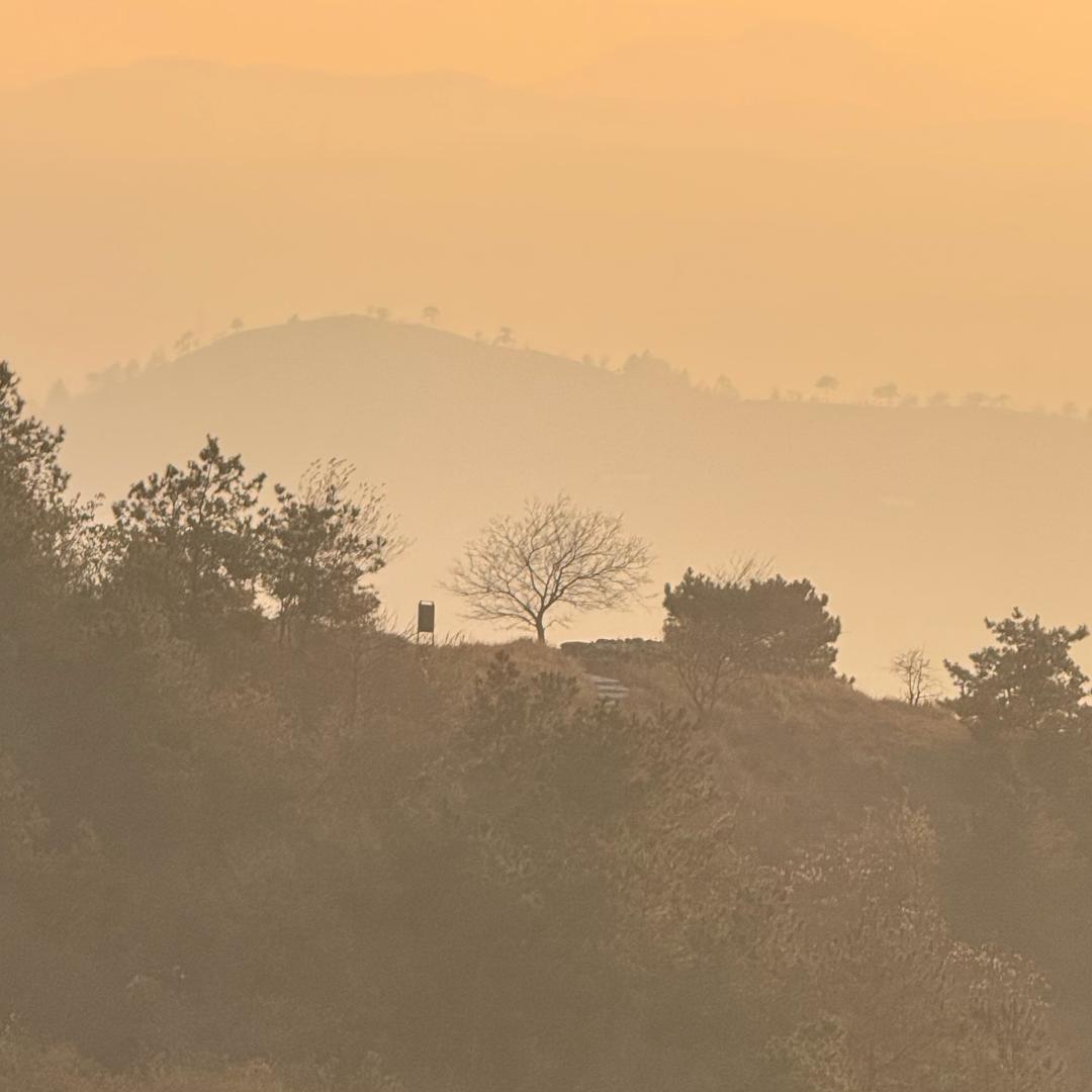 gift是最好的🎁