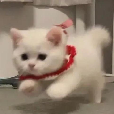 空梦
