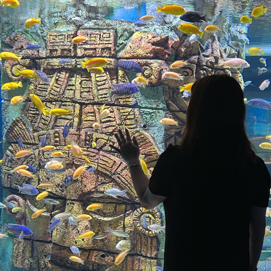 奶芙泡ʕ•̫͡•ʕ•̫͡•ʔ•̫͡