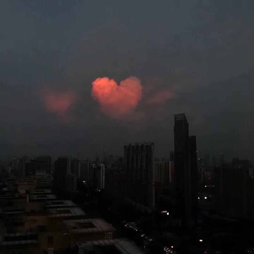 龙哥虎哥
