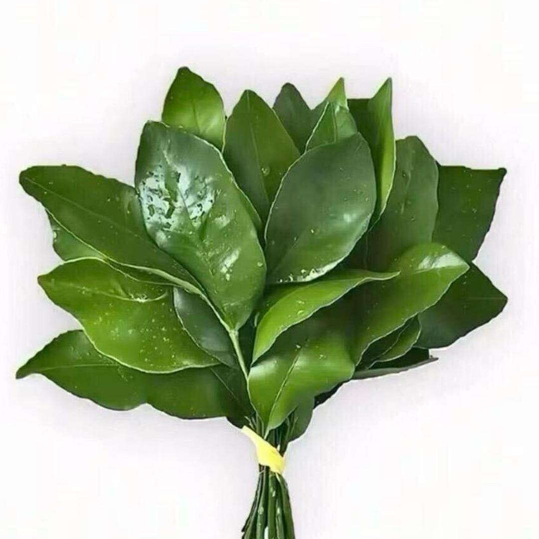 什么绮；