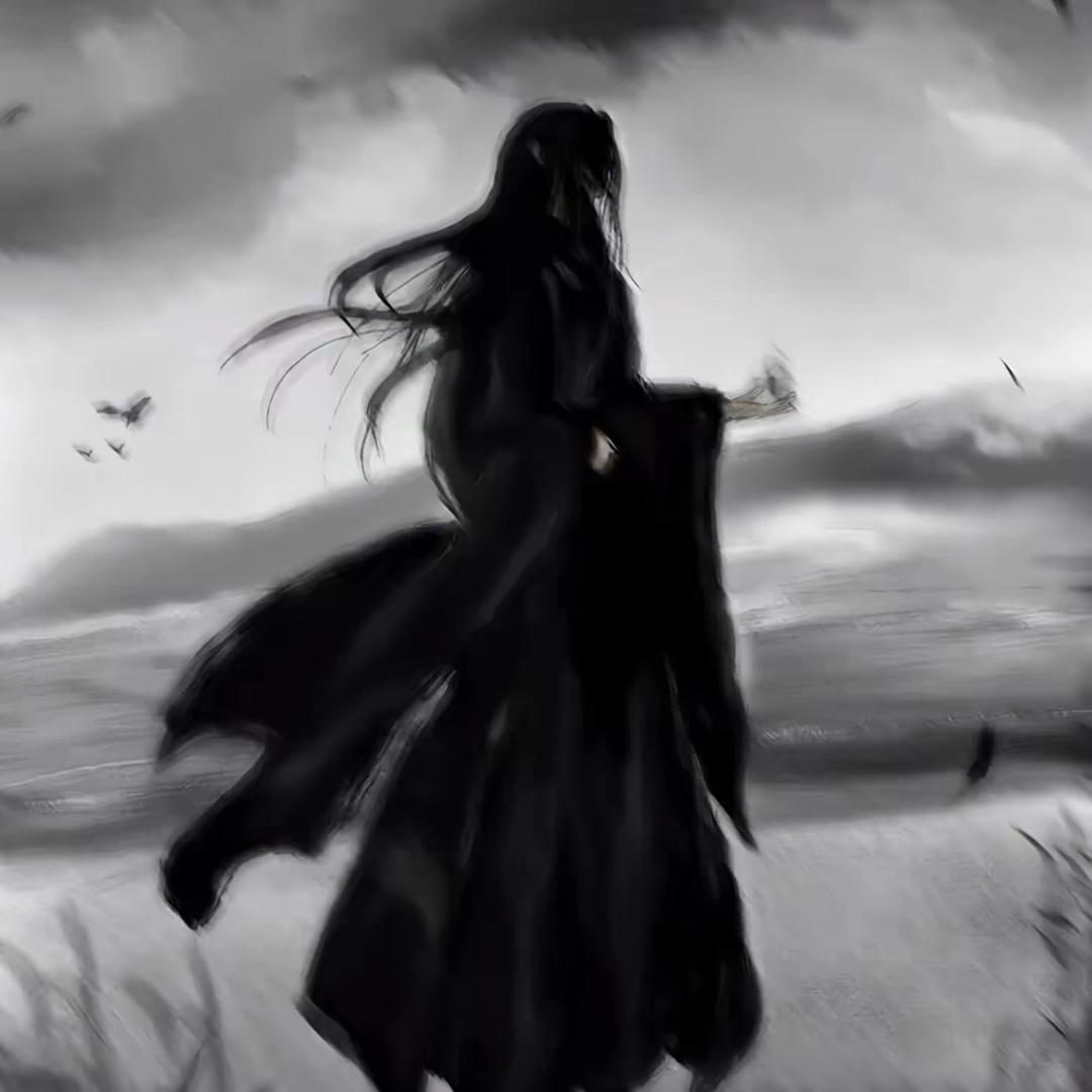 胖虎/