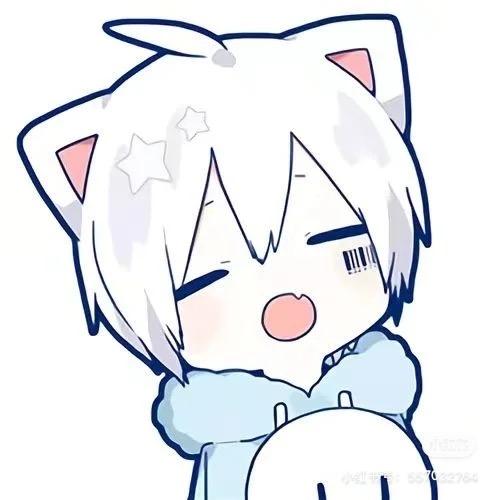 阿月🌙