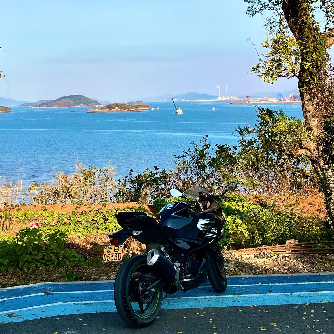 养Rover的露哥🧸