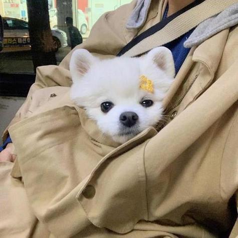 白薯糖面