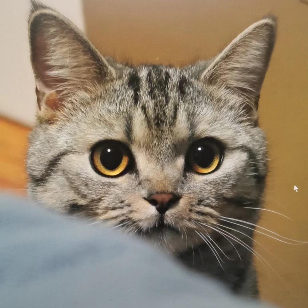 简单生活