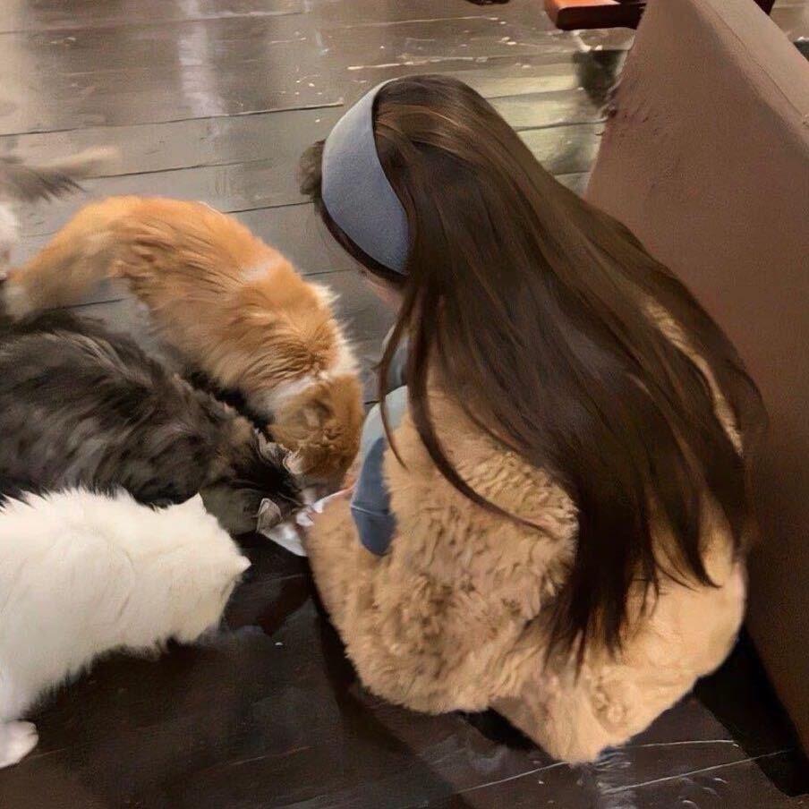 爱吃米醋的小宝