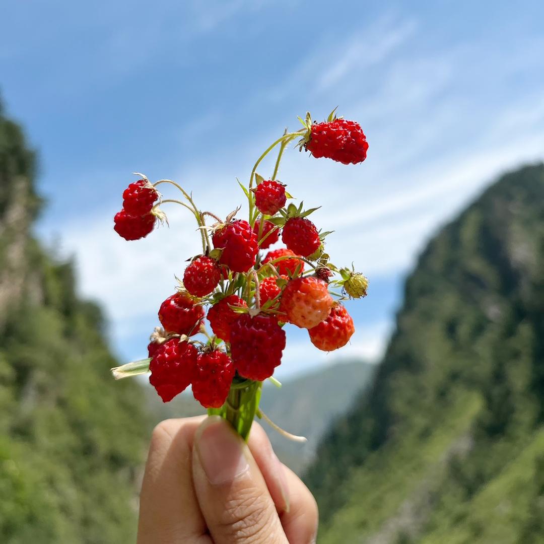 巳月七