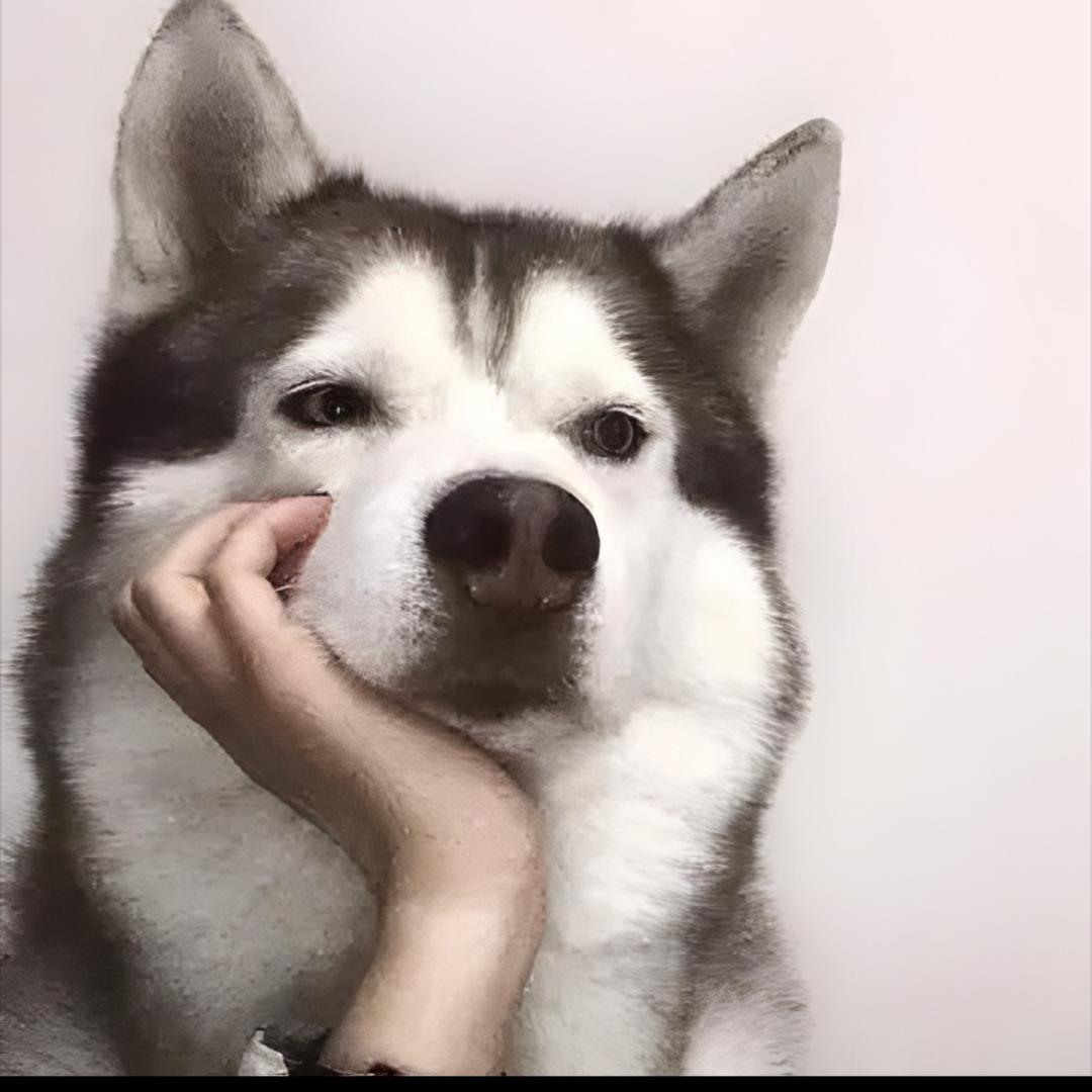 东崽