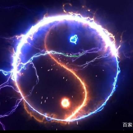修心养生的金猪