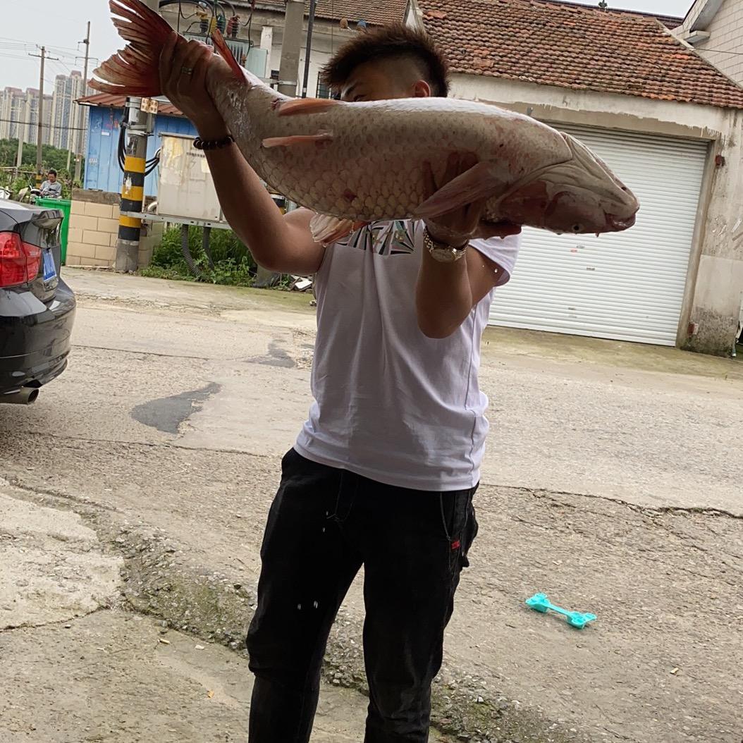 大飞爱钓鱼🐟（雷强打黑）