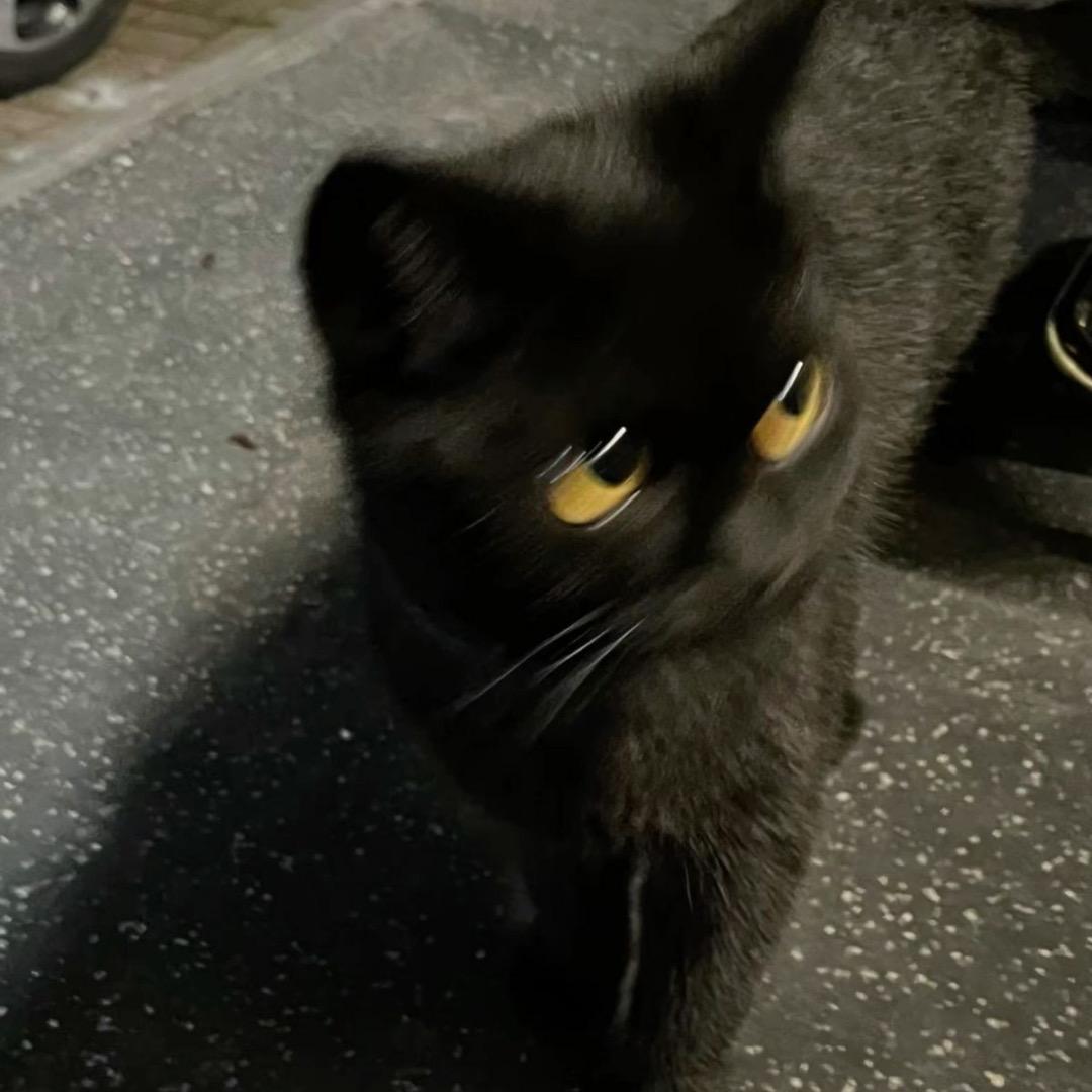 谁吃了我火龙果