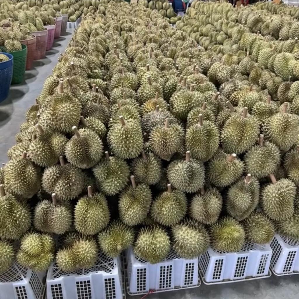 泰越汇四海华北生鲜仓