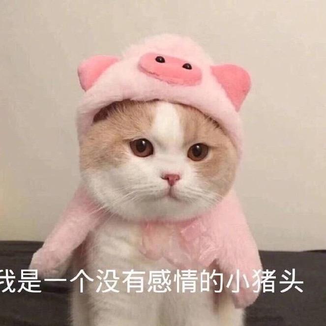 柠檬酱
