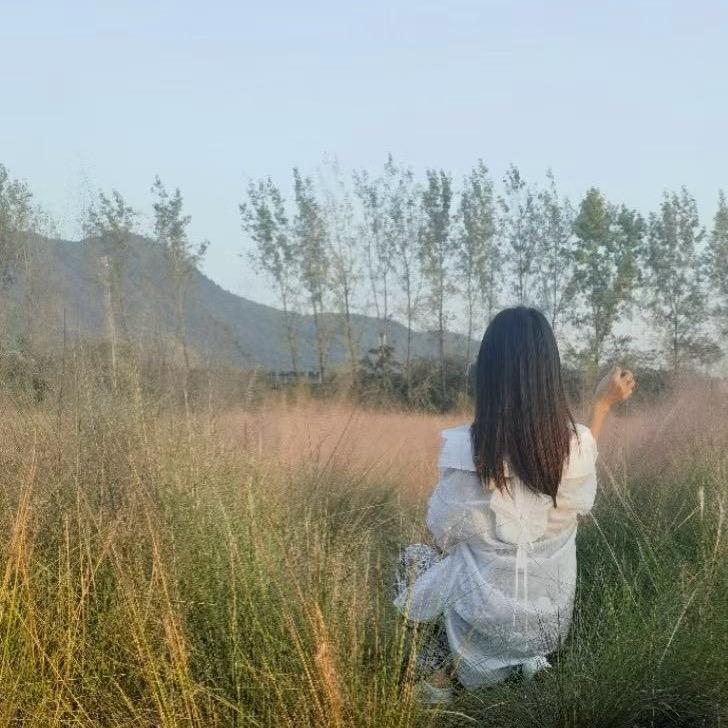 苇🌻