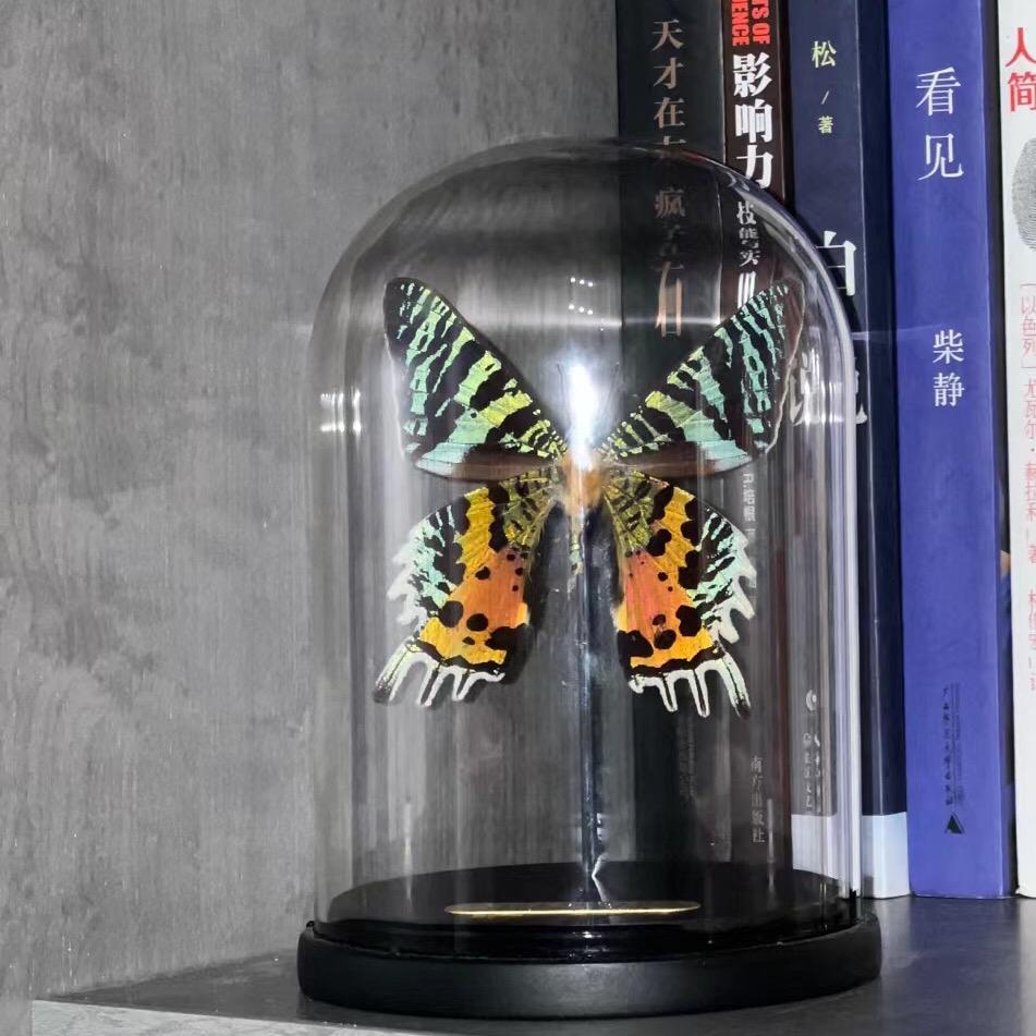 嘉兴大学生上门家教