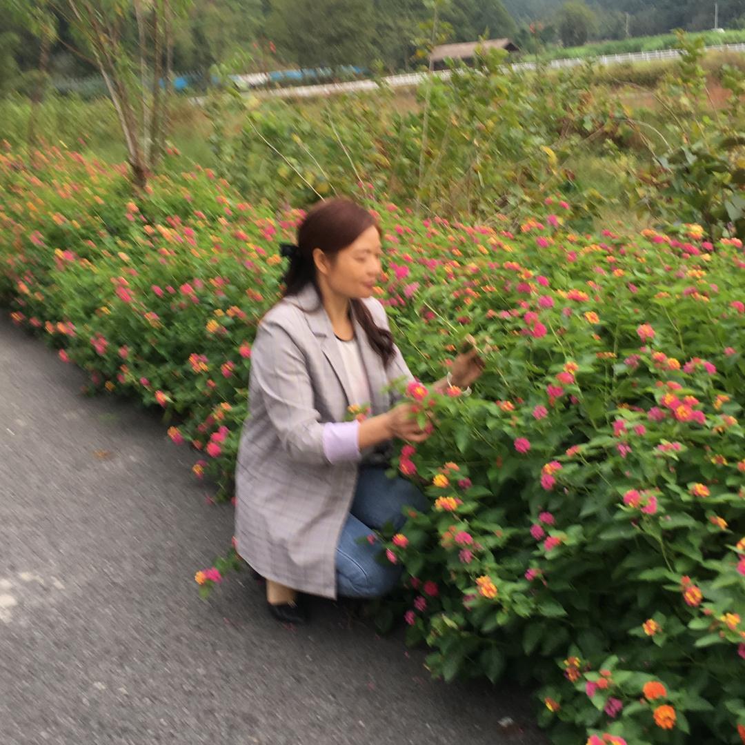 @简单