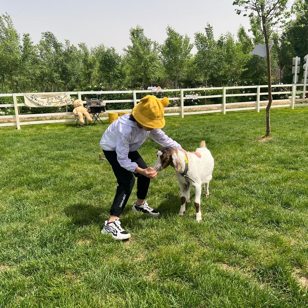 鸚氹氹轉鸍瓔囀.