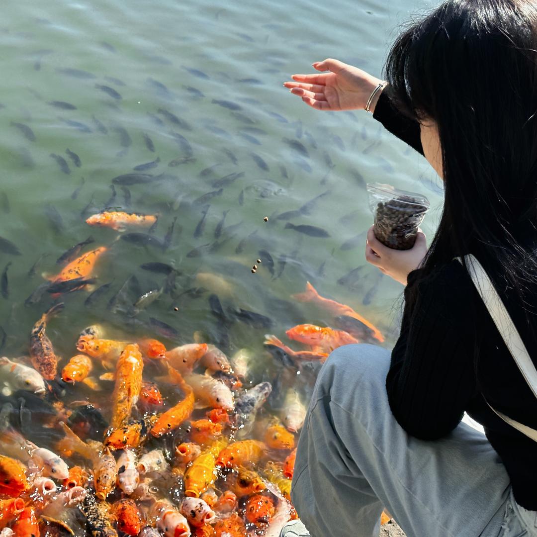 南宁青龙哥探房