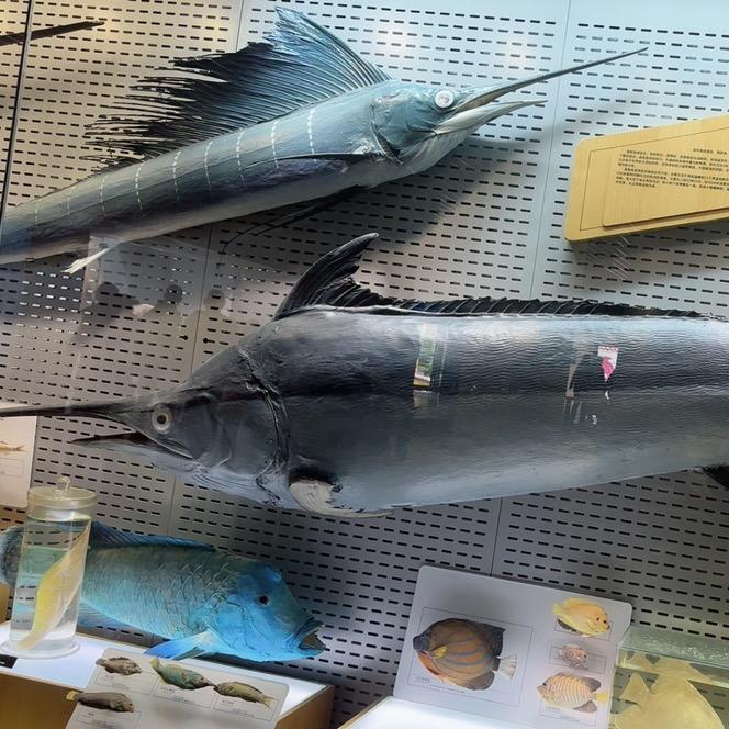 穿过麦田の地铁