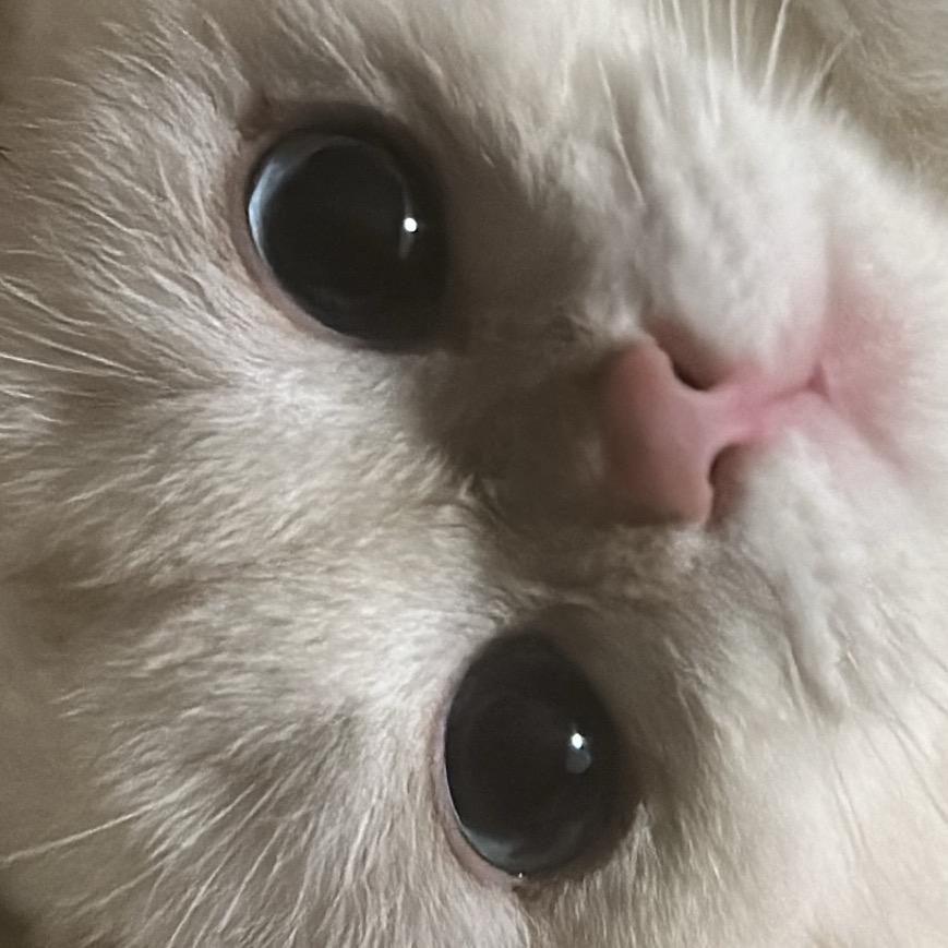 海里最后一条鱼🐟