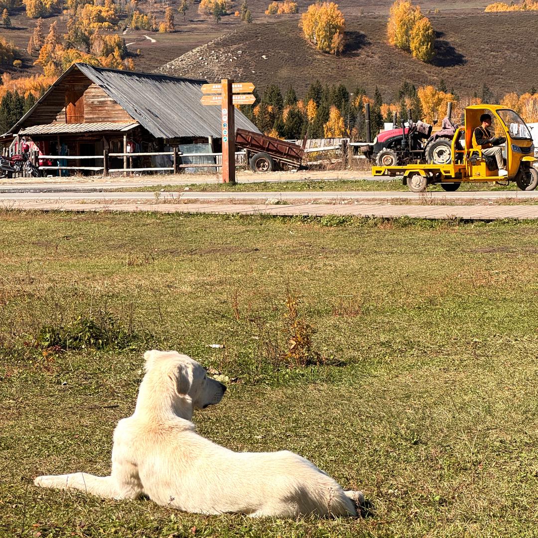 特克斯要石榴籽🥷