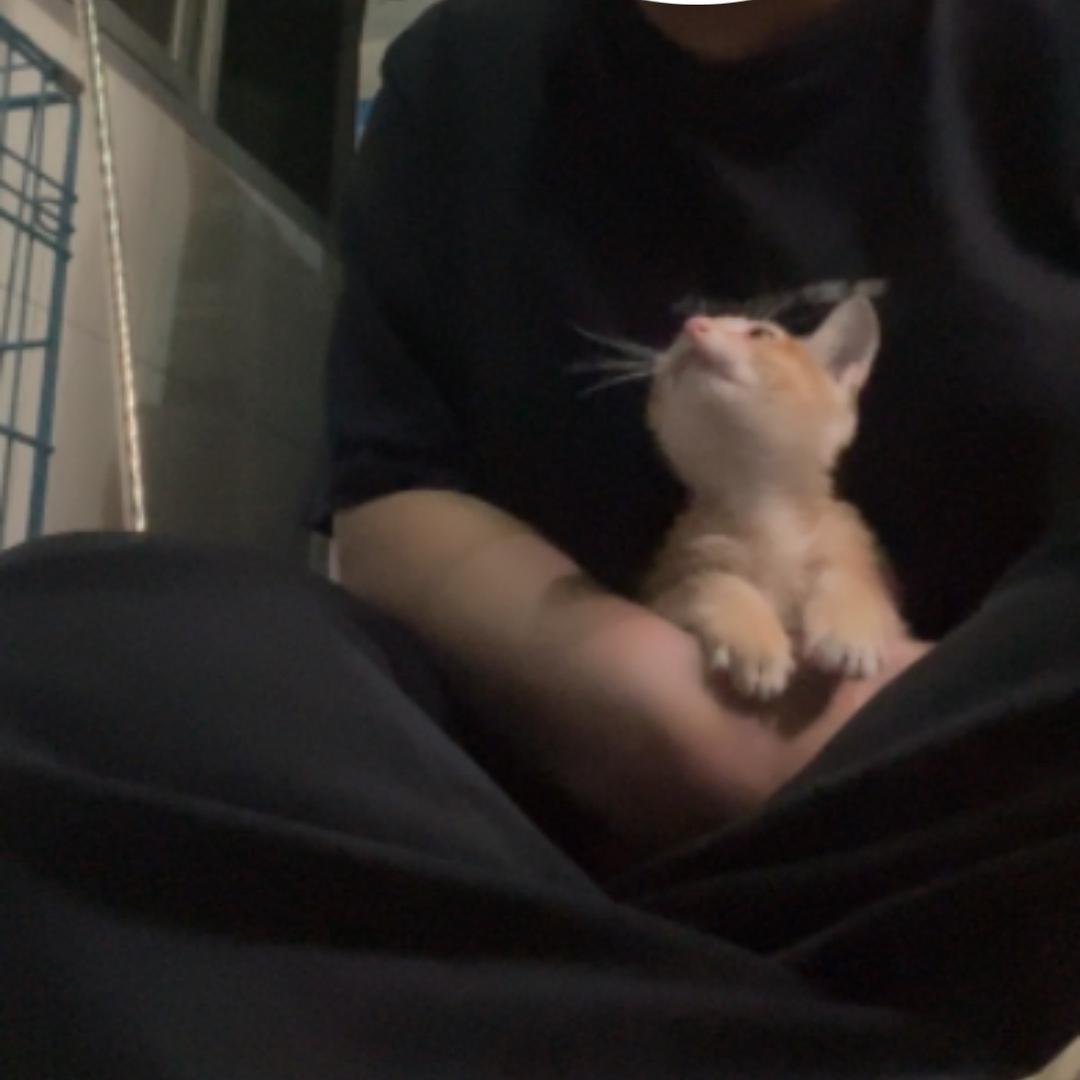 超会吃星球球长