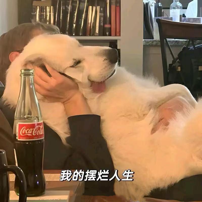 深夜食堂