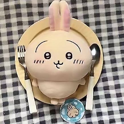 好好吃饭8（520🎂版）