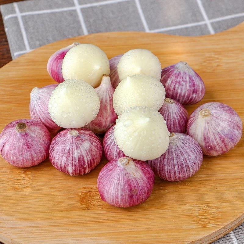 紫皮独蒜源头康绵农产品